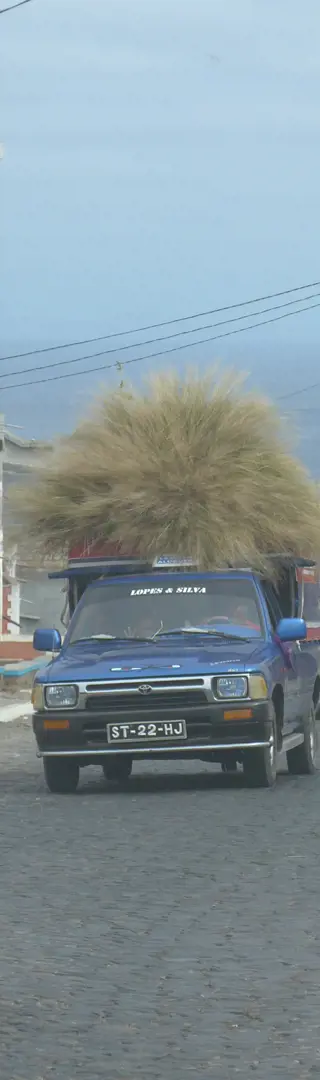 Transportmittel
